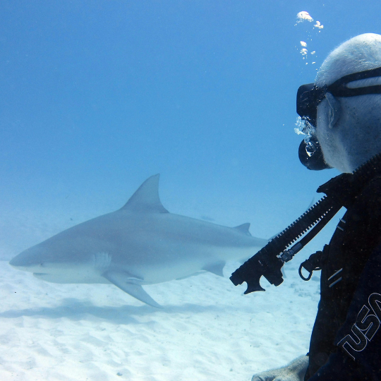 Dark Blue Modern Meet Lawyer Instagram Post (1)