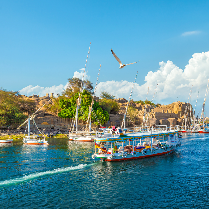 Dark Blue Modern Meet Lawyer Instagram Post (1)