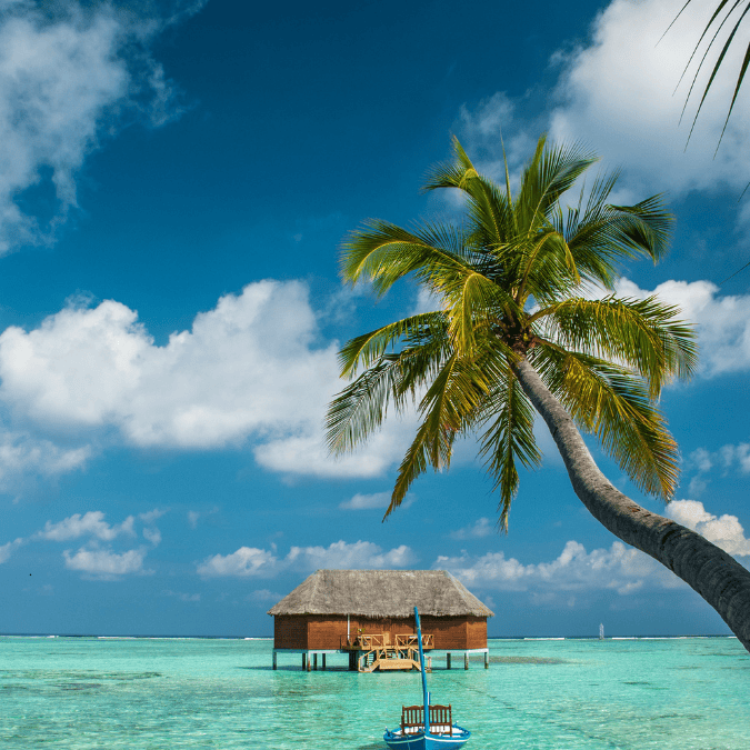 Dark Blue Modern Meet Lawyer Instagram Post (3)